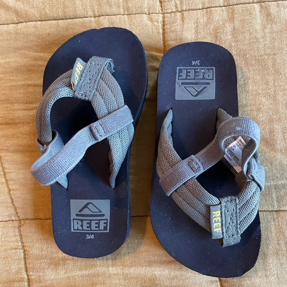 Baby Reefs